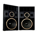 Swans PRO1808 Home Theater Speaker AMAZING 18" SUB, MID, 4 RIBBONS DEALER COST!!
