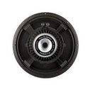 Eminence Double-T12 12" Guitar Speaker