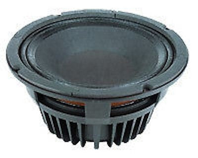 P Audio P10N FREEEE SHIPPING!!!!!  NEO 10" at 600 Watts RMS